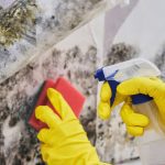 Mold Cleaning in Topeka, Kansas