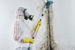 Four Signs You Need Professional Mold Removal Services