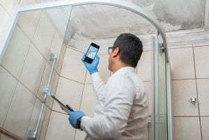 Mold 101: Five Things to Know About Mold Remediation