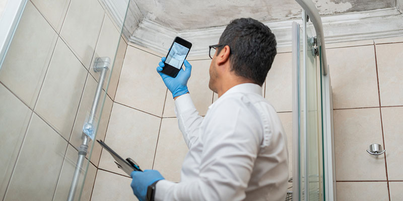 Mold 101: Five Things to Know About Mold Remediation