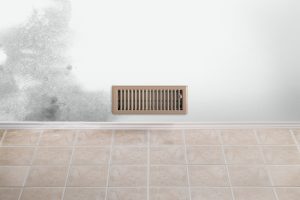 Mold in Vents: Starting the Journey to Better Air Quality