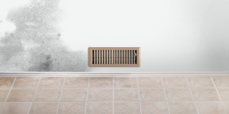 Mold in Vents: Starting the Journey to Better Air Quality