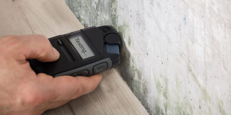 Simple Tips for Mold Testing