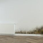 Mold Illness