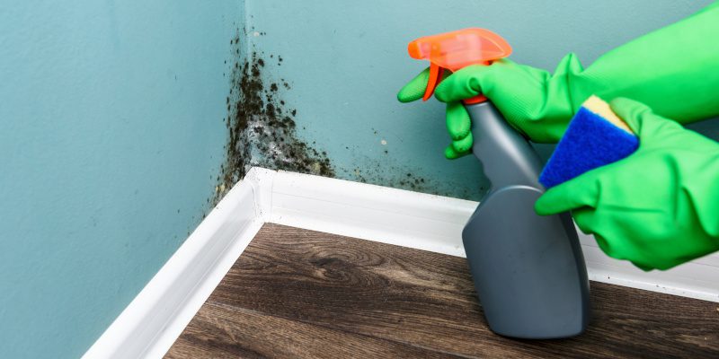 Mold Sensitized in Topeka, Kansas
