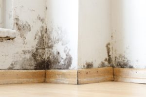How We Can Help You Find Relief from CIRS