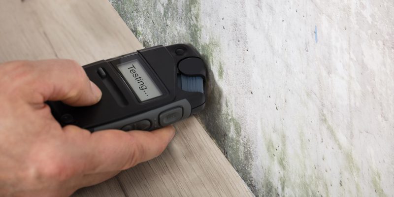 What to Expect from Mold Testing Services