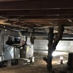 Mold Testing
