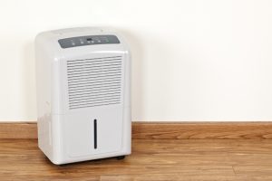 3 Mold Prevention Tips for a Healthier Home