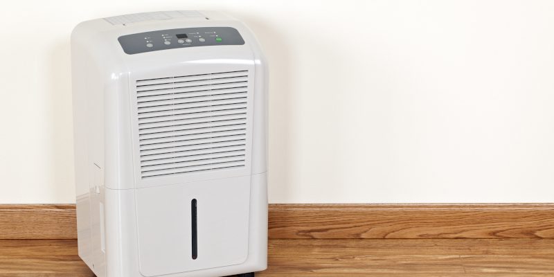 3 Mold Prevention Tips for a Healthier Home