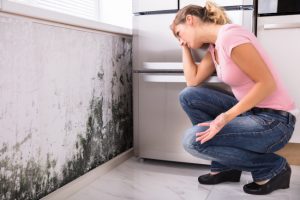 What to Do When You Discover Mold Damage in Your House